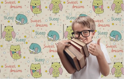 Fototapeta Śpiące Sowy