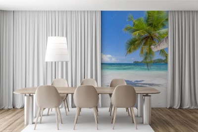 Fototapeta Palma kokosowa na plaży Seszeli w Mahé