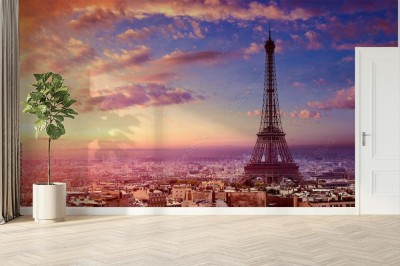 paryska-wieza-eiffela-i-linia-horyzontu-architektury-miasta