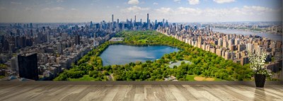 Fototapeta Widok z lotu ptaka na Central Park w Nowym Jorku