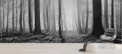 Fototapeta Goły las bukowy zimą