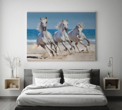 fototapeta-konie-w-klusie-na-plazy-95257914-