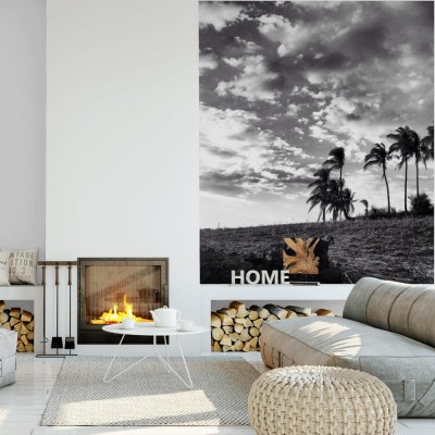 Fototapeta Palma kokosowa