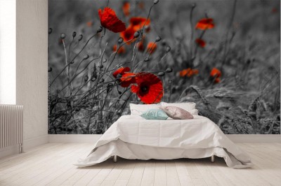 Fototapeta Mak w polu