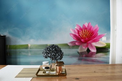 Fototapeta Spa i czerwony kwiat