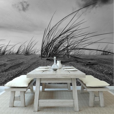 Fototapeta Zbliżenie w Czerni i Bieli