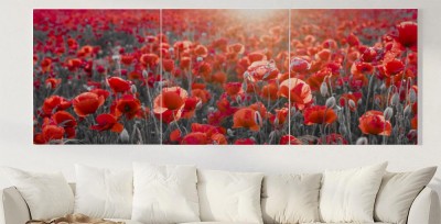 Obraz na płótnie Panorama z czerwonymi makami - kolor selektywny