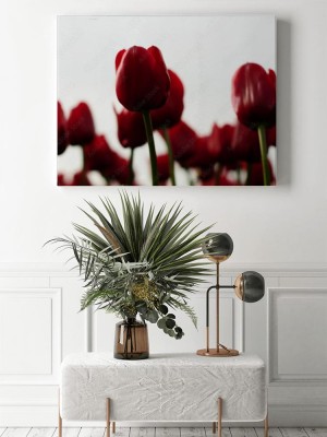 Obrazy do salonu Rozmyte tulipany na białym tle