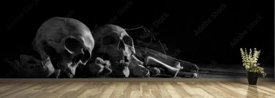 Fototapeta Czaszki ze stosem kości