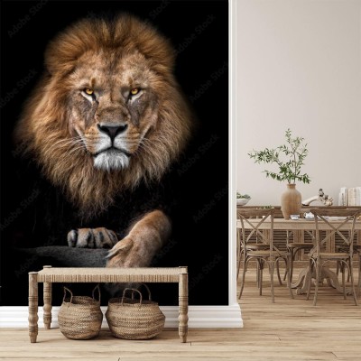 Fototapeta Lion King