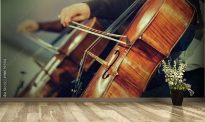 Fototapeta Orkiestra symfoniczna na scenie