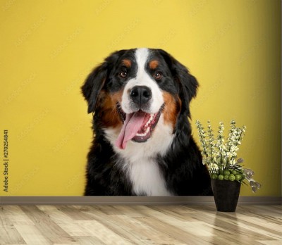 Fototapeta Wesoły pies