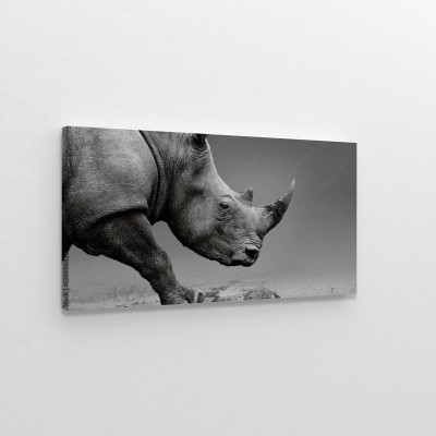 Obrazy do salonu Artystyczny portret nosorożca afrykańskiego