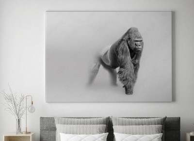 Obraz na płótnie Goryl - artystyczna kolekcja afrykańskich zwierząt