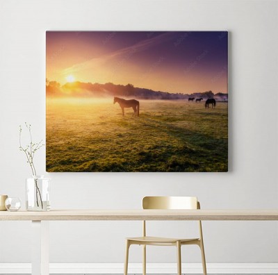Obraz na płótnie Konie pasące się na pastwisku