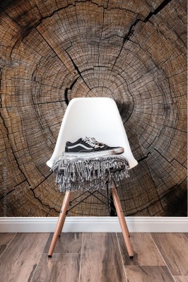 Fototapeta Stare tekstury drewna