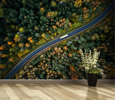 Fototapeta zdjęcie lotnicze drogi w lesie