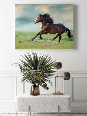 Obraz na płótnie Koń z długą grzywą