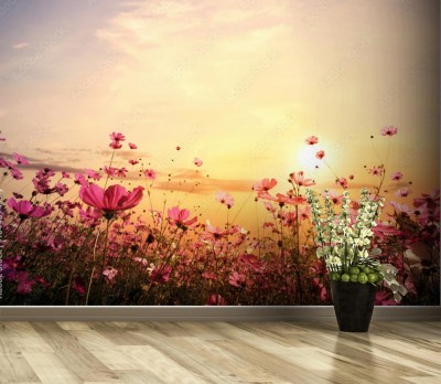 Fototapeta Kwiaty na polnej łące podczas zachodzącego słońca