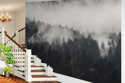 Fototapeta Piękny kadr przedstawiający zalesione góry we mgle