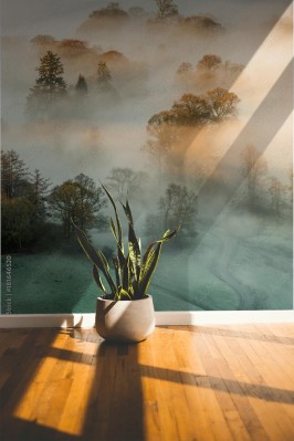 Fototapeta Złote światło wpadające przez gęstą mgłę w jesienny poranek