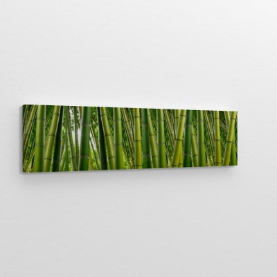 Obraz na płótnie Gęsta bambusowa dżungla
