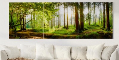 Obraz na płótnie Piękny las na wiosnę z jasnym słońcem świecącym przez drzewa