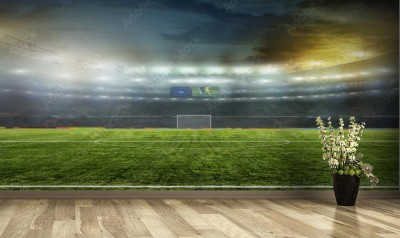 Fototapeta Panorama stadionu do piłki nożnej