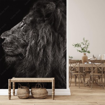 Fototapeta Portret lwa