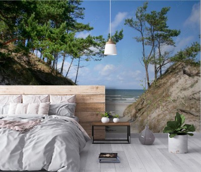 Fototapeta Plaża wśród wydm