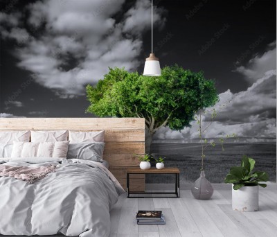 Fototapeta Zielone drzewo na czarno białym tle