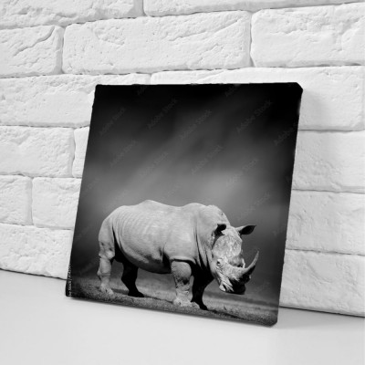 czarno-bialy-obraz-nosorozca