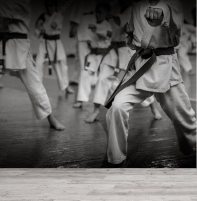 Fototapeta Karate