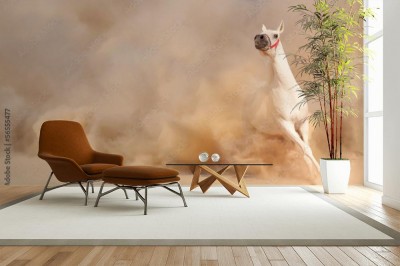 Fototapeta Koń w kurzu