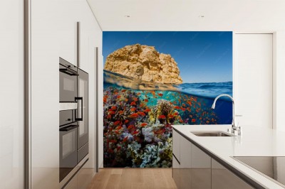 Fototapeta Morze Czerwone