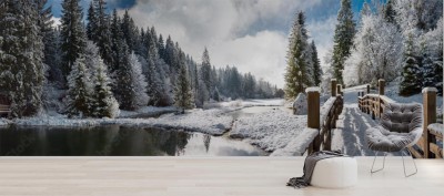 Fototapeta Panorama zimowego poranka w Karpatach