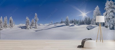 zimowa-panorama
