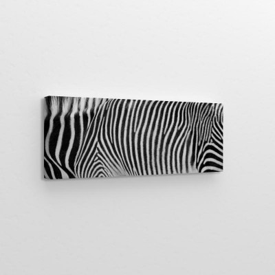 abstrakcyjny-motyw-zebry