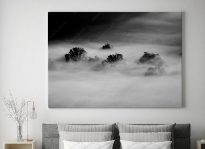 Obraz na płótnie Drzewa we mgle