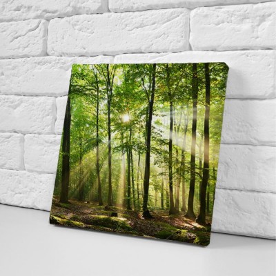 fotolia-57321532-subscription-monthly-l