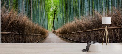 japonski-bambusowy-las-w-arashiyama-kyoto-japonia