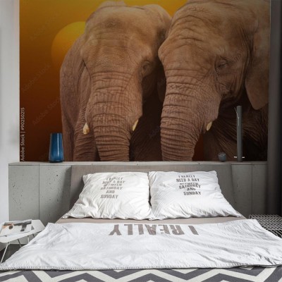 Fototapeta Para słoni o wschodzie słońca