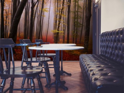 Fototapeta Tajemniczy mglisty las o bajkowym wyglądzie