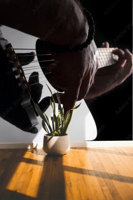 Fototapeta Zbliżenie na gitarę akustyczną z palcami