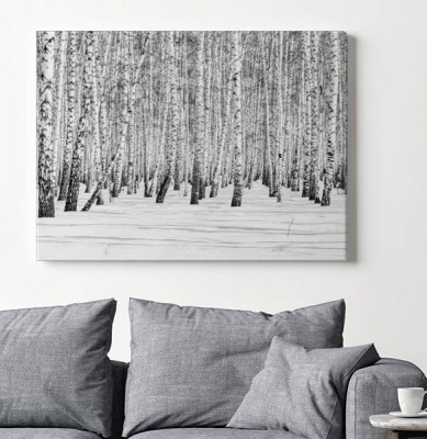 czarno-bialy-brzozowy-las-w-zimowym-krajobrazie