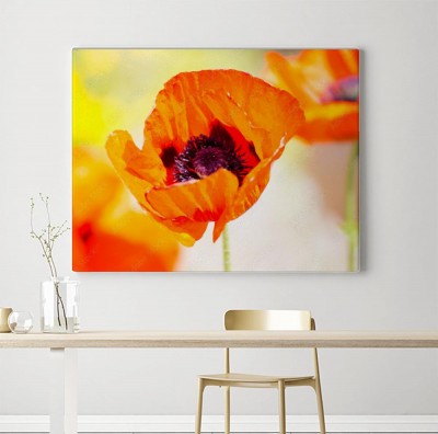 Obraz na płótnie letnie maki