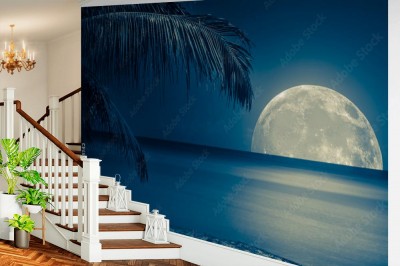 Fototapeta Księżyc odbijał się na wodzie tropikalnej plaży