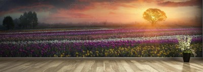 Fototapeta z panoramicznym krajobrazem pola pełnego tulipanów