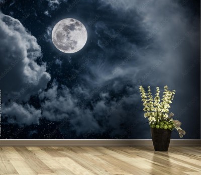 Fototapeta Nocne niebo z pełnią księżyca
