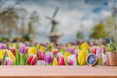 tlo-z-kwiatow-tulipanow
